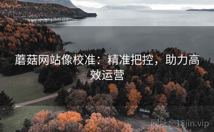 蘑菇网站像校准:精准把控,助力高效运营 蘑菇网站像校准:精准把控,助力高效运营